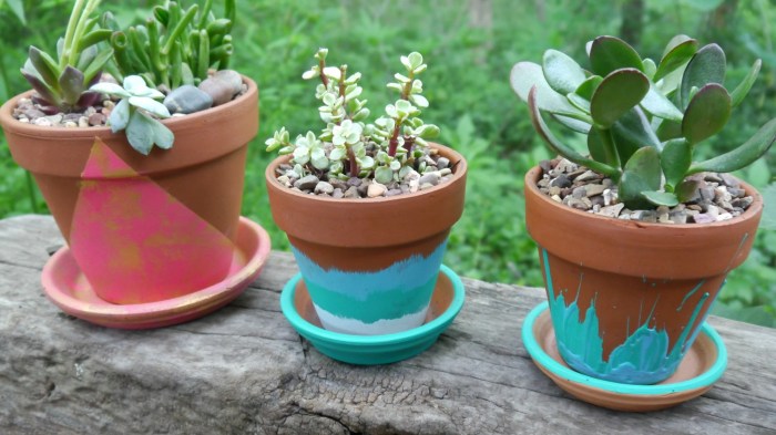 Can you paint terracotta plant pots