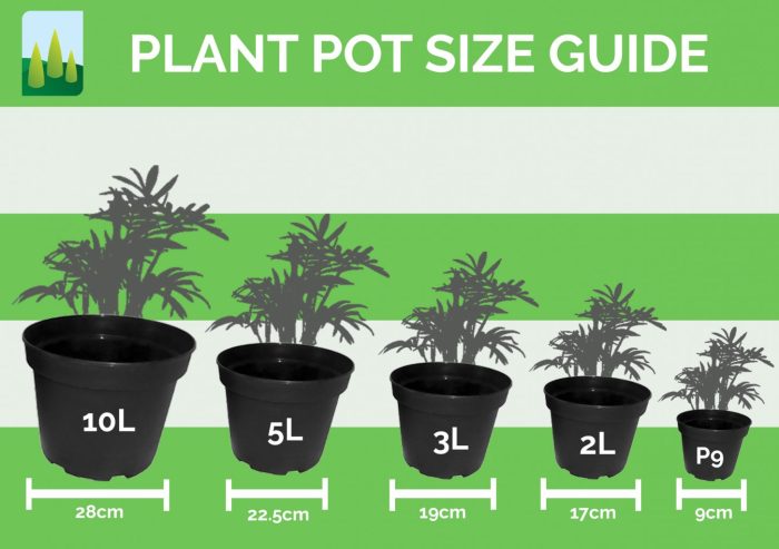 Plant guide pot size grow sizes diameter chart nursery small volume illustration plastic containers measured list