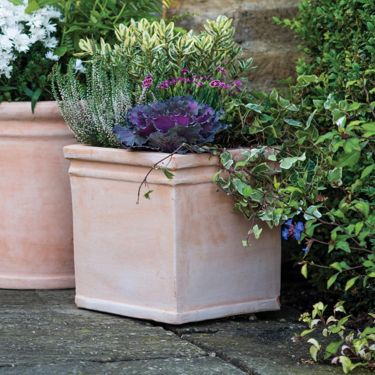 Terracotta spout plant pot